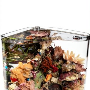 WetWebMedia Small Marine Aquariums Kindle eBook Guide for Hobbyists-0
