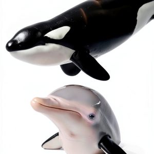 Oceanography eBook Baby Professor Kindle-0